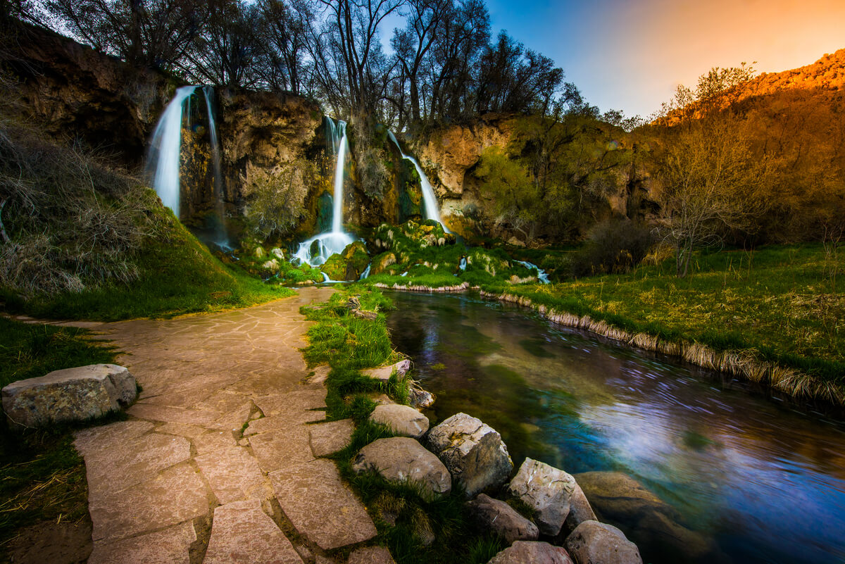 wildflowers and waterfalls blog